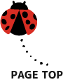 PAGE TOP
