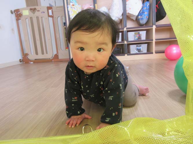 2025年千歳新年度が始まりました！