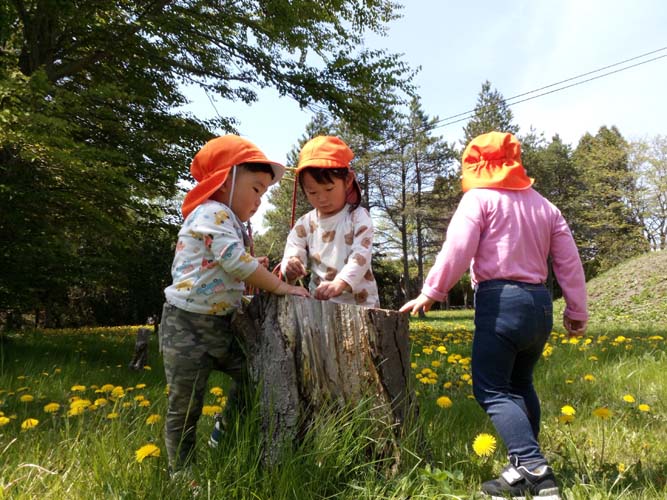 2025年春の戸外遊び