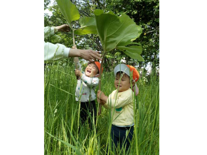 2025年春の戸外遊び