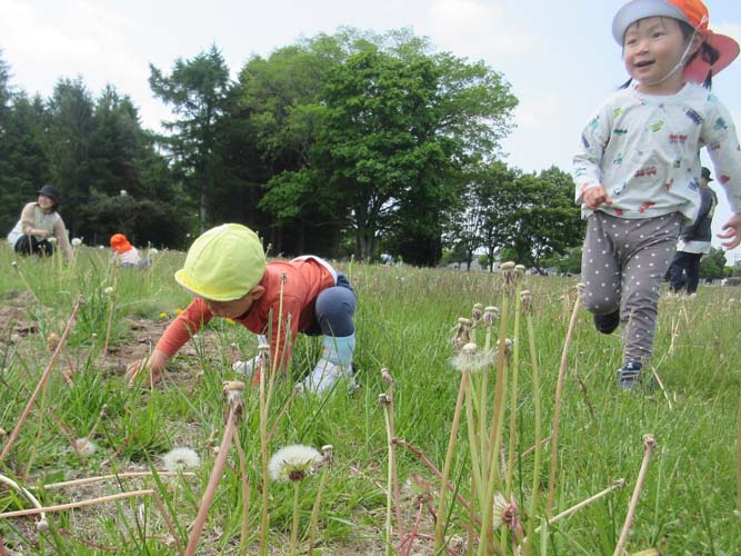 2025年春の戸外遊び